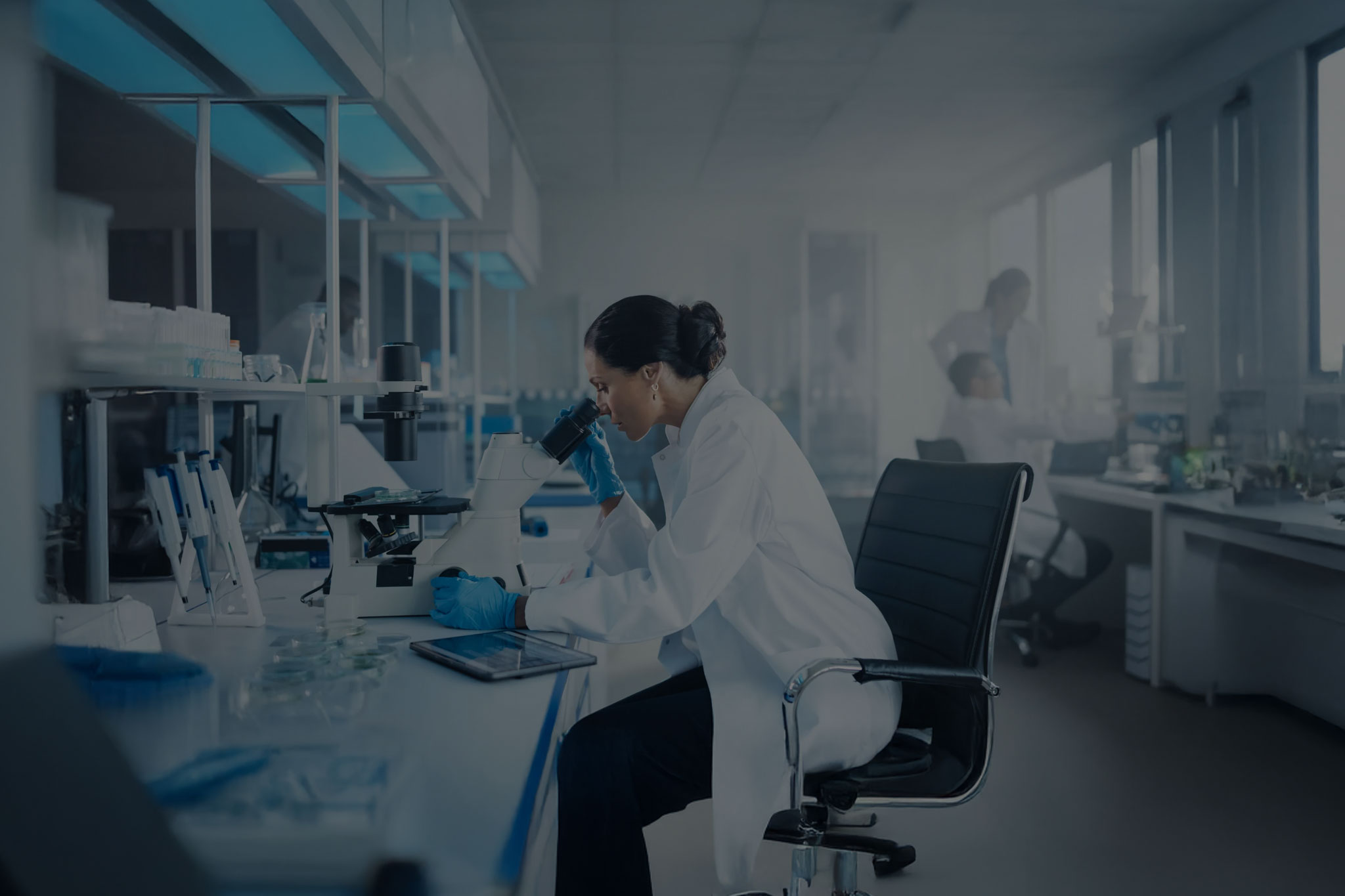 Katalizmed Terms of Use Background