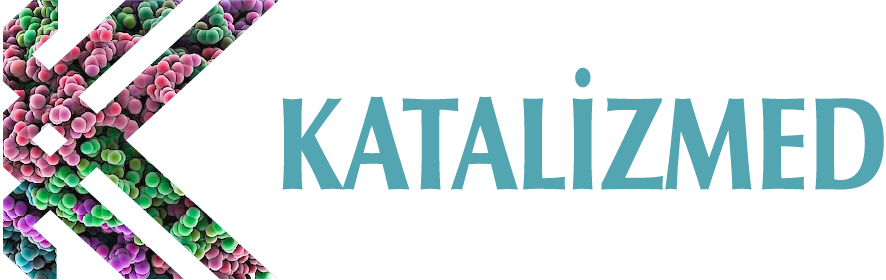 Katalizmed