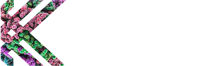 Katalizmed Logo